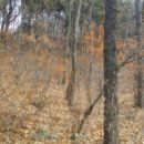 인천광역시 강화군 하점면사무소 이미지