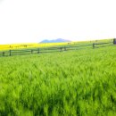 김태연농장 이미지