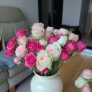 어니스트(honest) 이미지