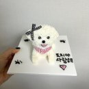 마이펫라이프 수제간식 | 마이펫라이프 수제 안양 강아지케이크