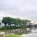 지내소류지 네이버블로그