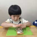 🍓4월 퍼니데이_봄봄 딸기🍓 이미지