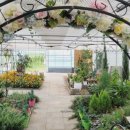 아이러브팜 이미지