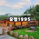 [정관]정원이 예쁜 카페 유정1995 내돈내산 후기