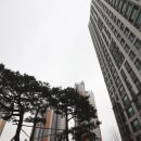 신도시제일공인중개사사무소 이미지