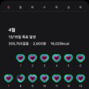 곰돌이청과 이미지