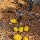 골목나들이 이미지