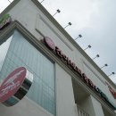 건이네 파충류 이미지