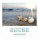 파워로빅 이미지