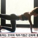 코어척추운동센터