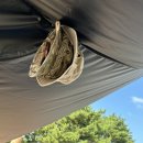 태안휴게소 이미지