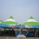 하포횟집 | 청주군산횟집 회가격 회종류 알아보기