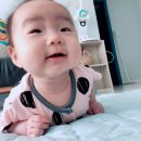 [D+13주~16주, 생후 3개월 아기 일상]
