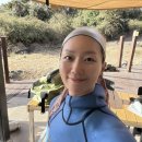 다이브 자이언트 제주