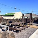 하도탐나 이미지