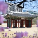 살구꽃가든 이미지