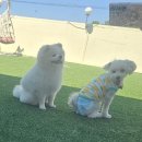 아지스테이션 이미지