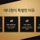 레디원 이미지