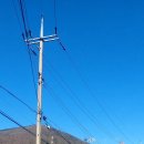 류의자능이버섯백숙 이미지