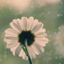 세븐일레븐 울산주전해변점 이미지