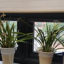 이지건축사사무소 이미지