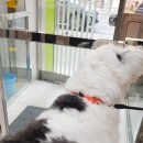 금란동물병원 이미지