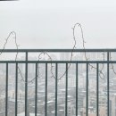 용신53 | (명동 사주카페) 두번째 방문 &#34;도통&#34;