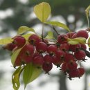 보배공인중개사사무소 이미지