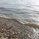 덕은축산 이미지