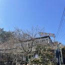 신두왕로 이미지