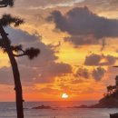 오늘은 바다 펜션 이미지