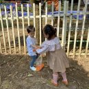 수아사슴농장 이미지