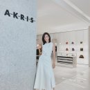 아크리스 이미지