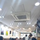 까치네식당 | [내돈내산]당산역 맛집 24시 식당 - 까치네분식 당산역점 6가지 메뉴 먹어본 후기(메뉴판, 가격, 혼밥...