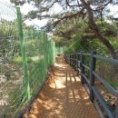 홍릉초교 이미지