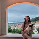 슈베린 | <숙소후기> 남해 애견동반 숙소 "슈베린펜션"