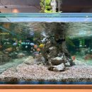 안녕, 커피 | 강남카페 슬로우커피 메뉴 총정리 | 시그니처 메뉴 솔직후기