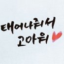 하히후헤호 Daum카페