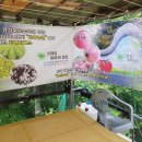 특우농원