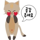 멕시카나치킨 청학점