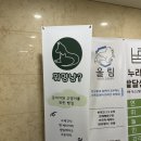 천지 애견 | 세종애견수제간식 뭐멍냥 강아지수제간식 고구마치즈볼 우유껌 고구마빵 내돈내산 후기