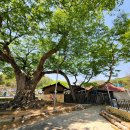 대전1리경로당 이미지