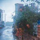 신한일식당 이미지