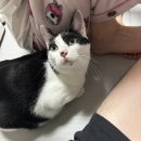 알마트(양덕점) 네이버블로그