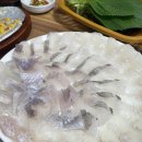 동해물회 이미지