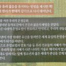 동의주열 네이버블로그