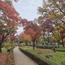 단풍약국 이미지