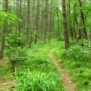 하늘연못 이미지