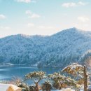 자작나무펜션 캠핑장 이미지