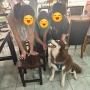 동화킴스관광호텔 | 푸켓 여행 올드타운 반나절 투어 맛집 캐리어 보관 가능한 킴스 마사지